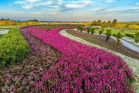 Mátria Parque de Flores